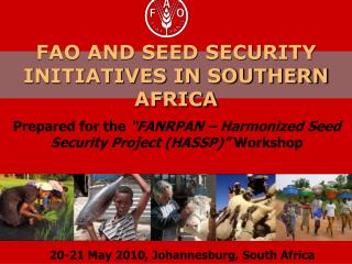 FAO AND SEED SECURITY INITIATIVES IN SOUTHERN AFRICA