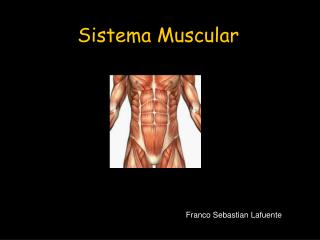 Sistema Muscular