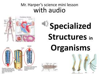 Specialized Structures in Organisms