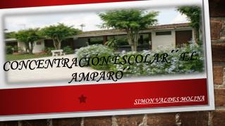 CONCENTRACIÓN ESCOLAR ´´EL AMPARO´´