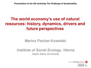 The world economy’s use of natural resources: history, dynamics, drivers and future perspectives