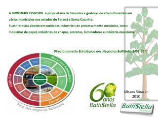 Direcionamento Estratégico dos Negócios Battistella 2008-2012