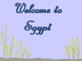 Welcome to Egypt