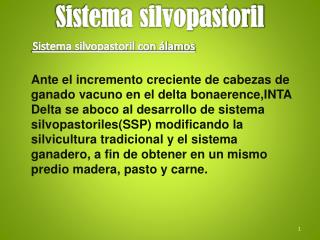 Sistema silvopastoril