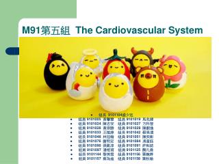 M91 第五組 The Cardiovascular System