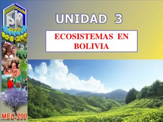 ECOSISTEMAS EN BOLIVIA