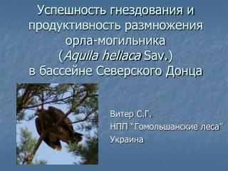 Витер С.Г. НПП “ Гомольшанские леса ” Украина