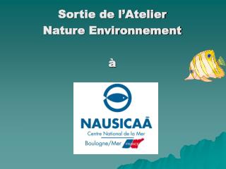 Sortie de l’Atelier Nature Environnement à