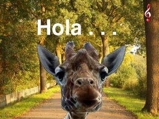 Hola . . .