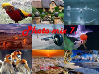 Photo-mix 7.