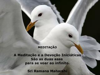 MEDITAÇÃO A Meditação e a Devoção Iniciáticas São as duas asas para se voar ao infinito.