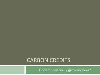 Carbon Credits