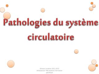 Pathologies du système circulatoire