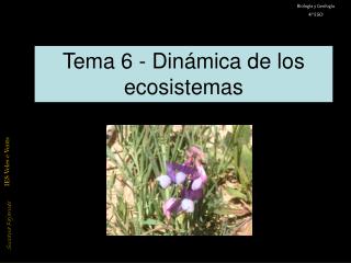 Tema 6 - Dinámica de los ecosistemas