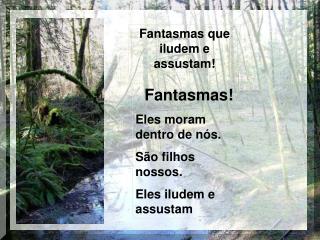 Fantasmas que iludem e assustam!