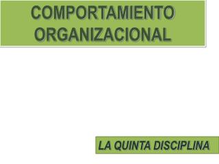 COMPORTAMIENTO ORGANIZACIONAL