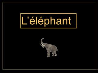 L’éléphant