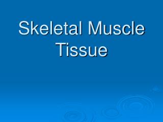 Skeletal Muscle Tissue