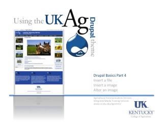 Drupal Basics Part 4 Insert a file Insert a image Alter an image