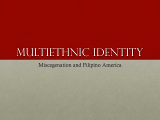 Multiethnic identity