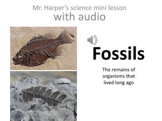 Mr. Harper’s science mini lesson with audio