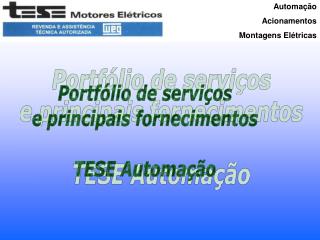 Automação Acionamentos Montagens Elétricas