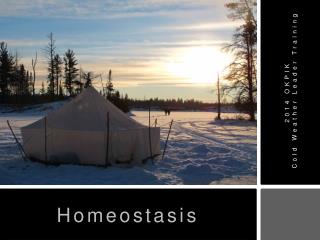 Homeostasis