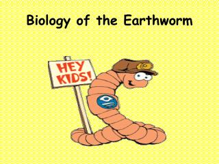 Biology of the Earthworm