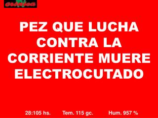 28:105 hs. Tem. 115 gc.	 Hum. 957 %