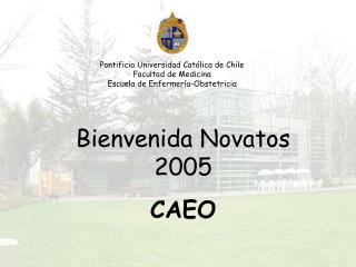 Pontificia Universidad Católica de Chile Facultad de Medicina Escuela de Enfermería-Obstetricia