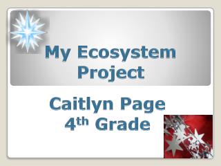 My Ecosystem Project