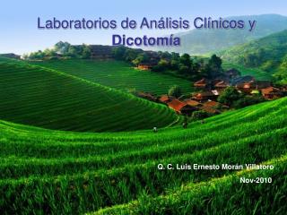 Laboratorios de Análisis Clínicos y Dicotomía