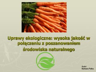 Uprawy ekologiczne: wysoka jakość w połączeniu z poszanowaniem środowiska naturalnego