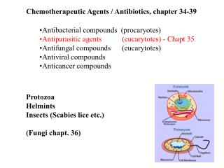 Chemotherapeutic Agents / Antibiotics, chapter 34-39