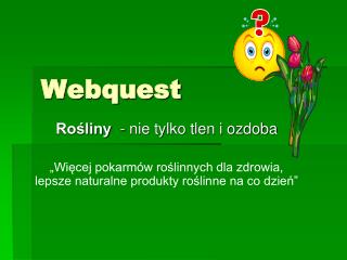 Webquest