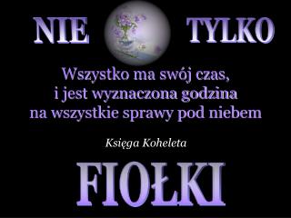 Wszystko ma swój czas, i jest wyznaczona godzina na wszystkie sprawy pod niebem