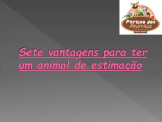 Sete vantagens para ter um animal de estimação