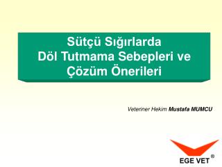 Sütçü Sığırlarda Döl Tutmama Sebepleri ve Çözüm Önerileri