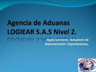 Agencia de Aduanas LOGIEAR S.A.S Nivel 2.