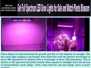 Get Full Spectrum LED Grow Lights for Sale and Watch Plants