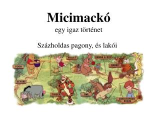 Micimackó egy igaz történet