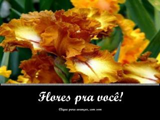 Flores pra você!