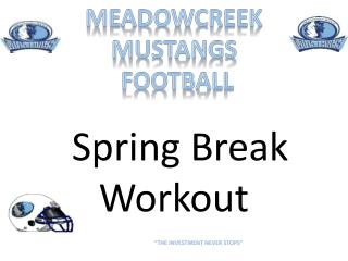 Meadowcreek Mustangs Football