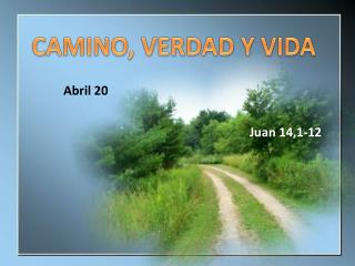 CAMINO, VERDAD Y VIDA