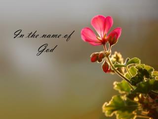 In the name of God