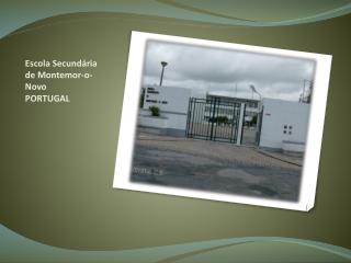 Escola Secundária de Montemor-o-Novo PORTUGAL