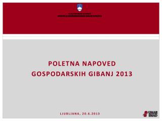 Poletna napoved gospodarskih gibanj 2013