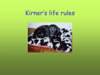 Kirner’s life rules