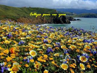 Collyre pour vos yeux