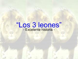 “Los 3 leones”